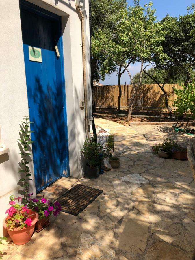 Netta'S Place Mitzpe Hila 외부 사진